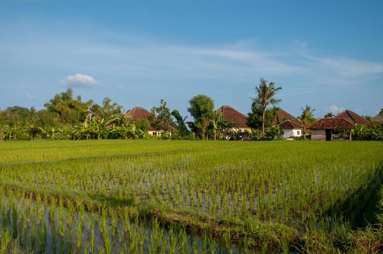 The North Cape Beach Villas Umeanyar Ngoại thất bức ảnh